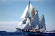Classic and timeless sailing yachts